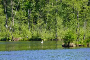 Wycieczka do Mazowieckiego Parku Krajobrazowego