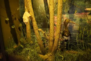 Wycieczka do Mazowieckiego Parku Krajobrazowego