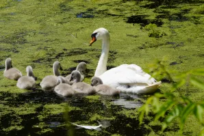 Wycieczka do Raszyna