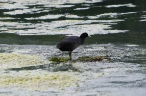 Wycieczka do Raszyna