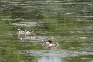 Wycieczka do Raszyna