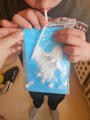 Alfabet logopedyczny