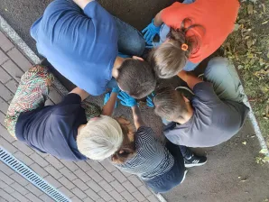 Akcja Sprzątanie Świata