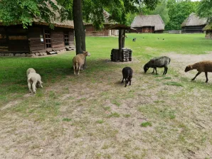 Wycieczka do Skansenu Wsi Radomskiej