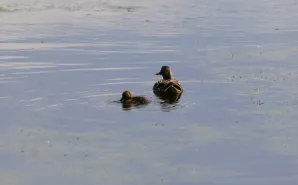 Wycieczka do Raszyna