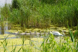 Wycieczka do Raszyna