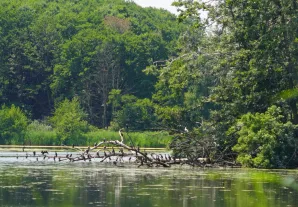 Wycieczka do Raszyna