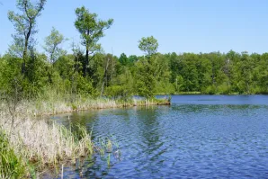 Wycieczka do Mazowieckiego Parku Krajobrazowego