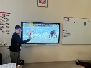 Lekcja o reniferach – wykład przygotowany przez Alana z klasy 6