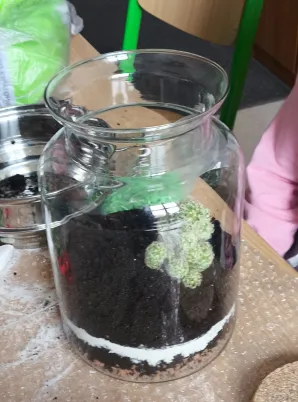 Las w soiku w wykonaniu uczniów klasy 1A