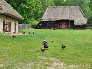 Wycieczka do Skansenu Wsi Radomskiej