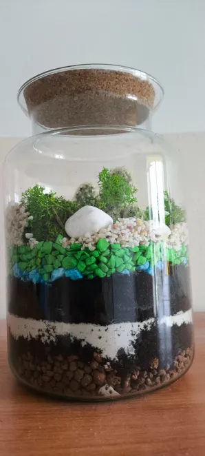 Las w soiku w wykonaniu uczniów klasy 1A