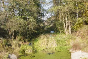 Przyrodnicze szlaki Mazowsza - Chojnowski Park Krajobrazowy