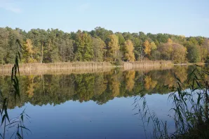 Przyrodnicze szlaki Mazowsza - Chojnowski Park Krajobrazowy