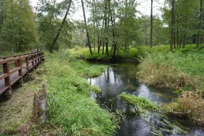 Wycieczka do Kozienickiego Parku Krajobrazowego