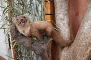Przyrodnicze szlaki Mazowsza - Nadbużański Park Krajobrazowy